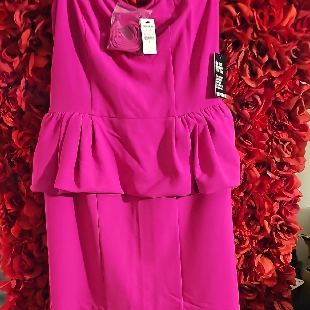 Express NWT Vibrant Pink Sleeveless Dress With Peplum Style Puffed Waist Size 12